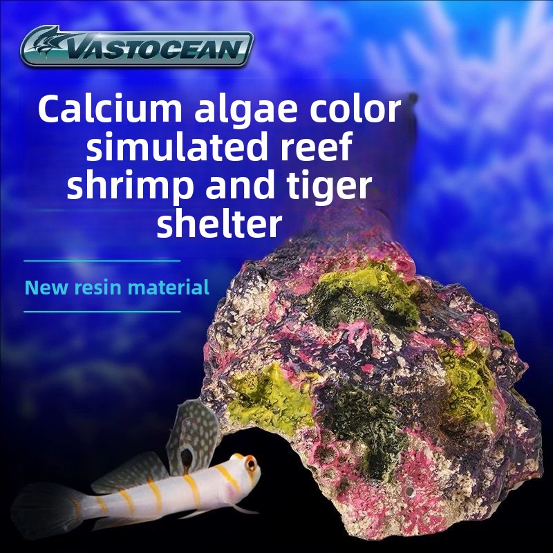 Marine Aquarium Hermit Crab - Gua Akuarium Air Asin VASTOCEAN -