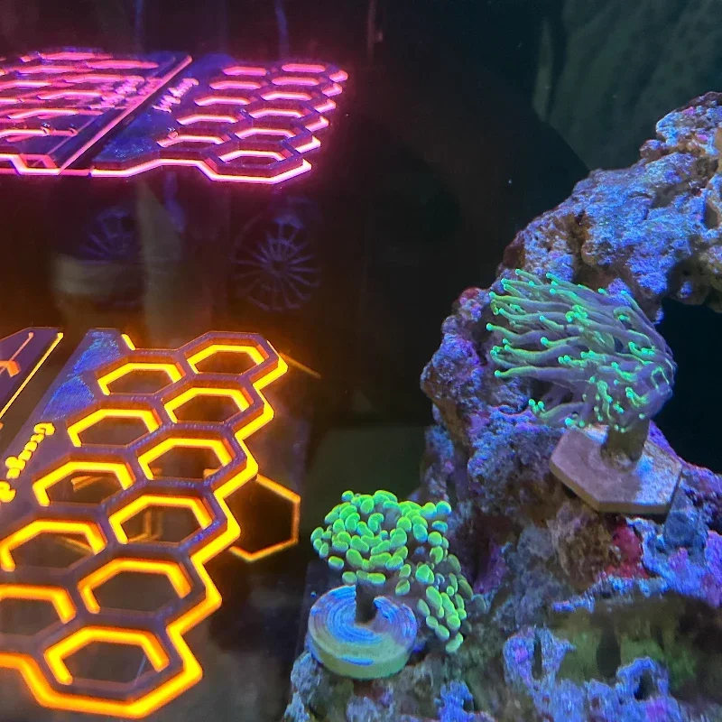 Penyangga Penjepit Batang Kara - Coral Frag Plug ulasan dan harga
