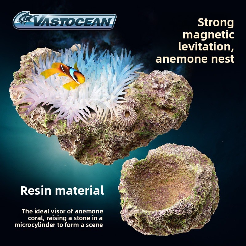 VASTOCEAN Tempat Anemon Magnet - Coral Frag Plug ulasan dan harga