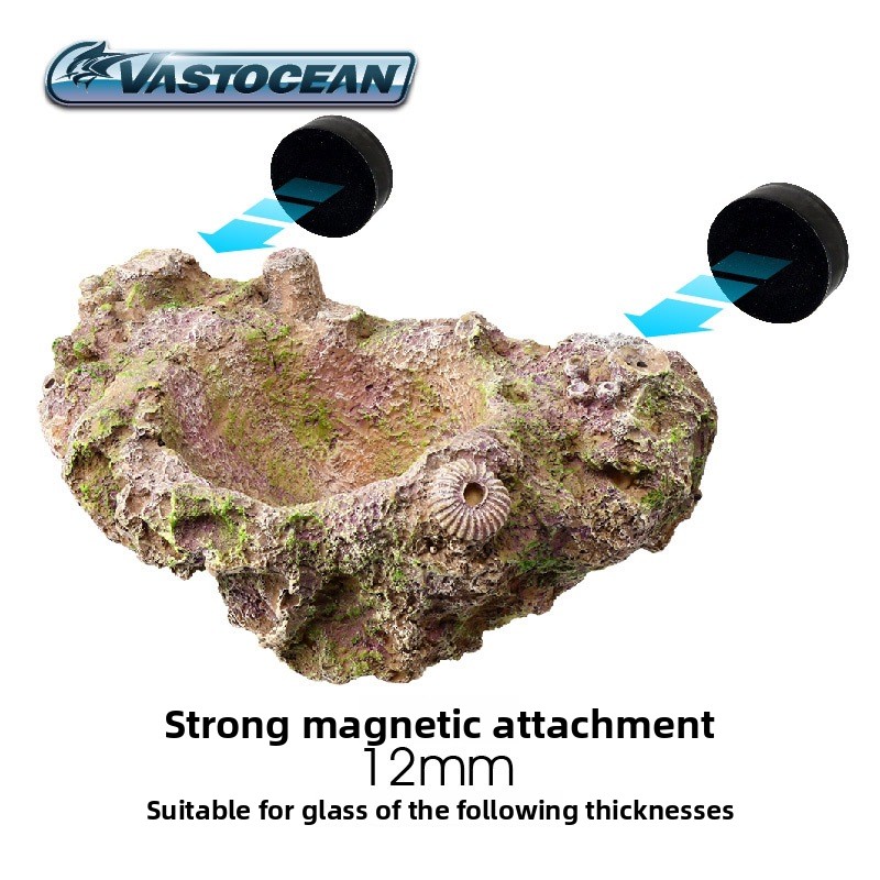VASTOCEAN Tempat Anemon Magnet - Coral Frag Plug ulasan dan harga