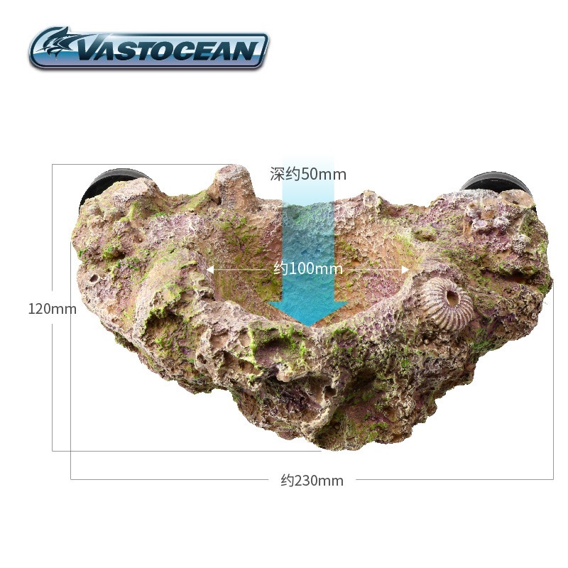 VASTOCEAN Tempat Anemon Magnet - Coral Frag Plug ulasan dan harga