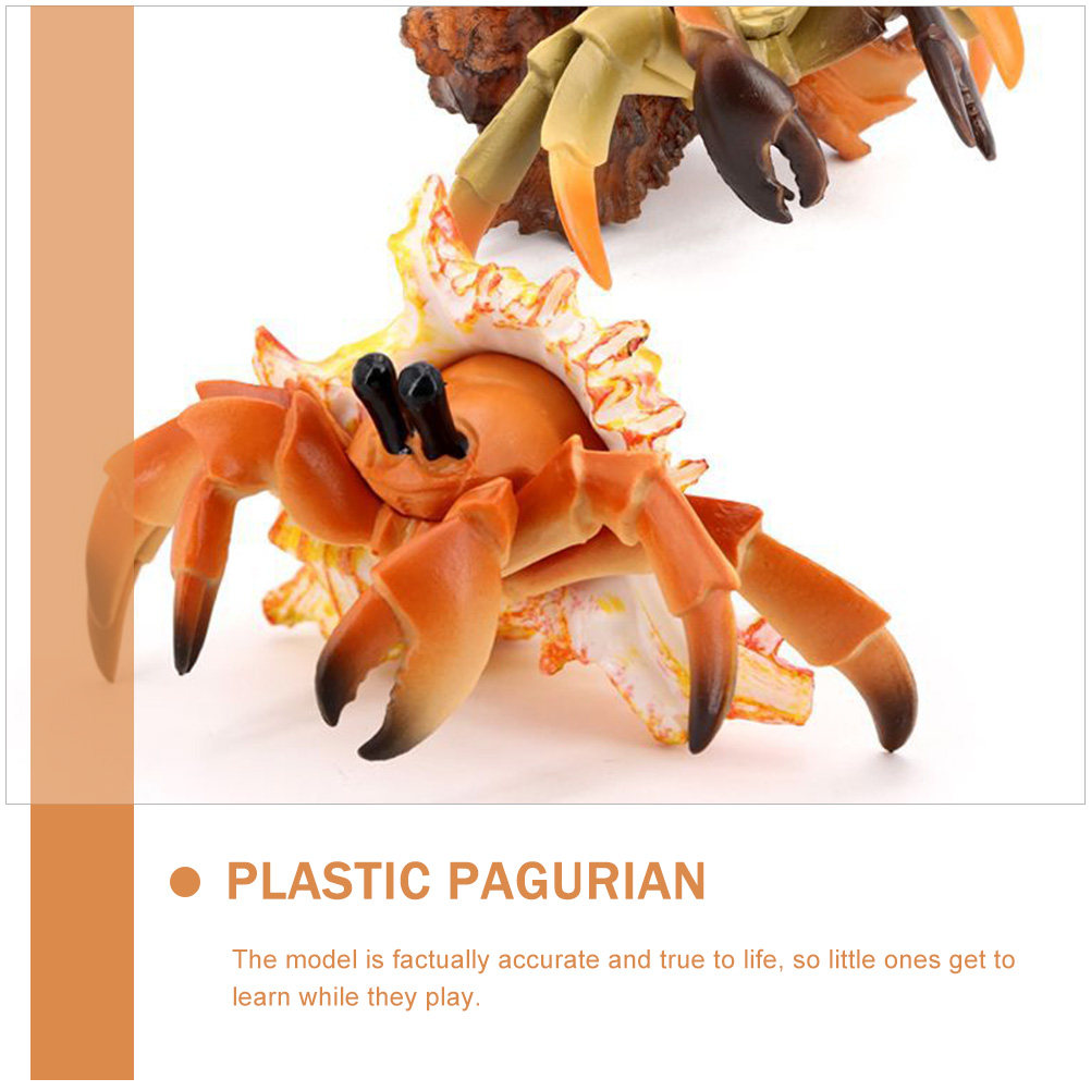 Kepiting Hermit Simulasi, Kepi - Marine Aquarium Hermit Crab ulasan dan harga