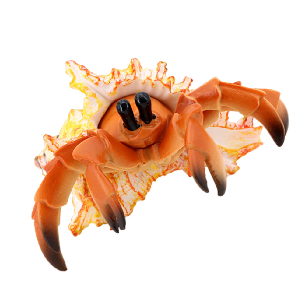 Kepiting Hermit Simulasi, Kepi - Marine Aquarium Hermit Crab ulasan dan harga
