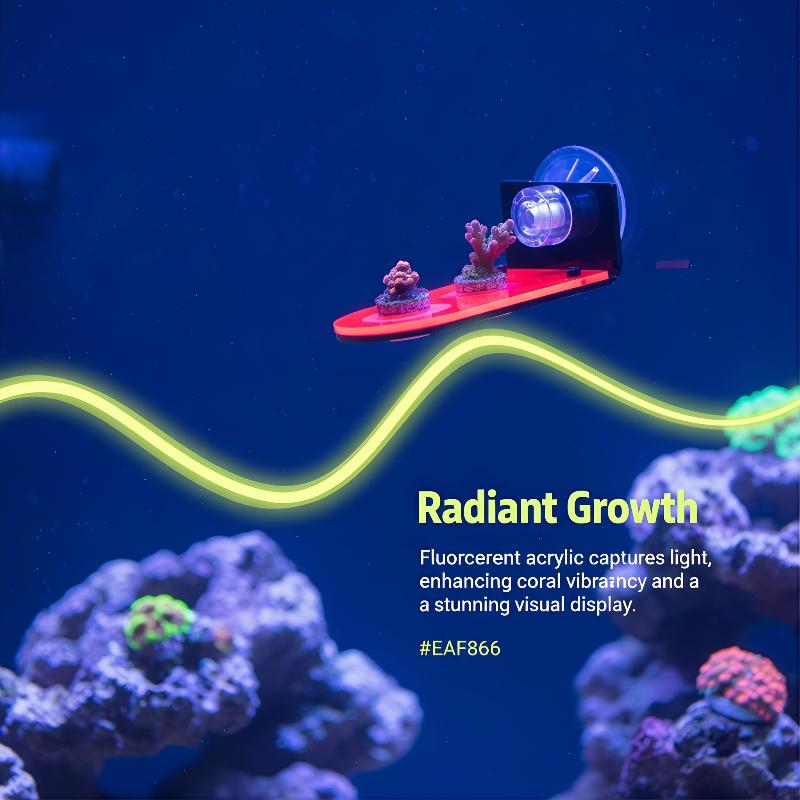 Bracket Akrilik untuk Coral Fr - Coral Frag Plug ulasan dan harga