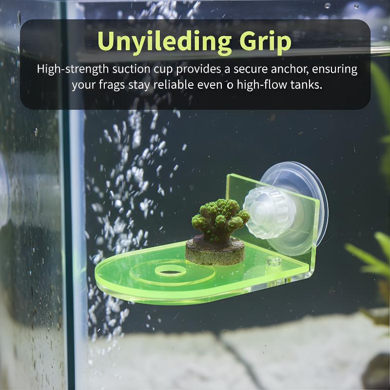 Bracket Akrilik untuk Coral Fr - Coral Frag Plug ulasan dan harga